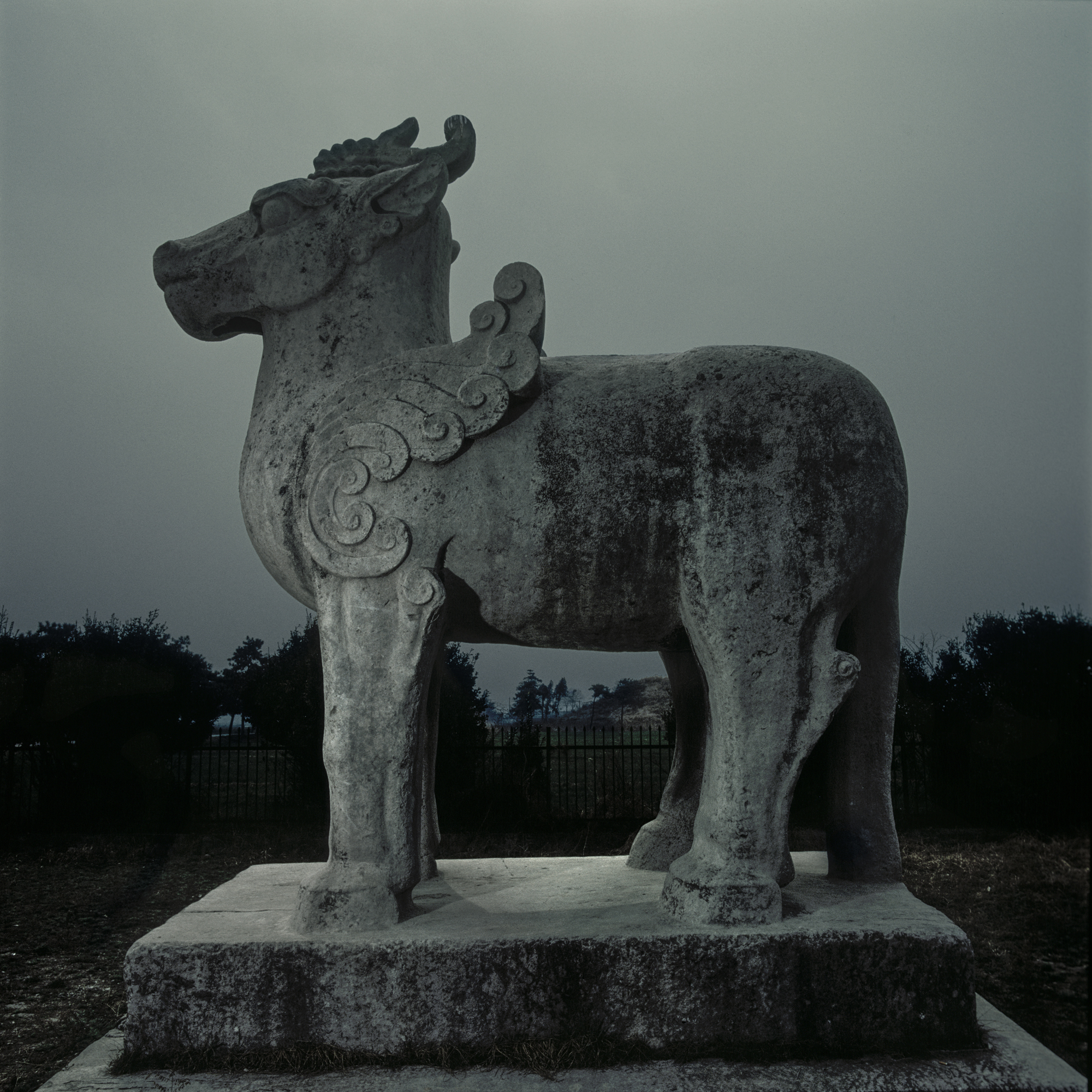 Hui Zhang The Tang Dynasty Tomb Three Series World Photography